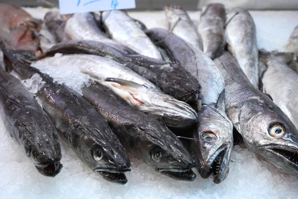 Op de markt 264 - de teller van de vis — Stockfoto