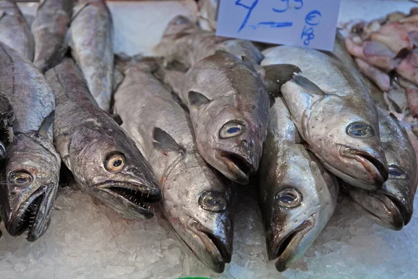 At the market 262 - the fish counter — Stock Photo, Image