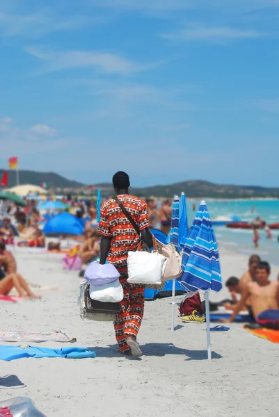 O Falcão — Fotografia de Stock