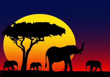 benim Afrika