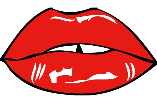 Рот и губы — стоковый вектор