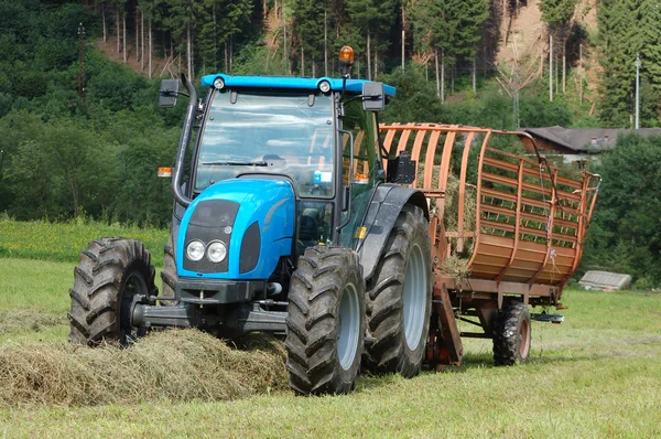 Die Sammlung von Heu auf einem Feld — Stockfoto