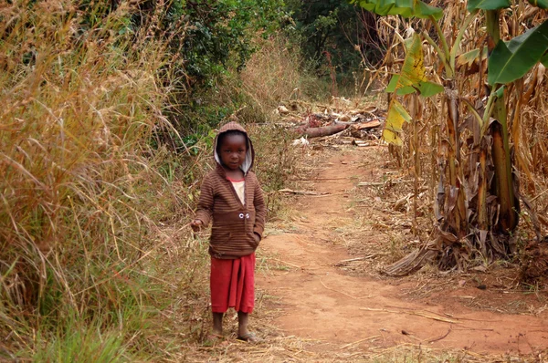 La mirada de África en los rostros de los niños - Village Pomerini - Tanzania - Agosto 2013 —  Fotos de Stock