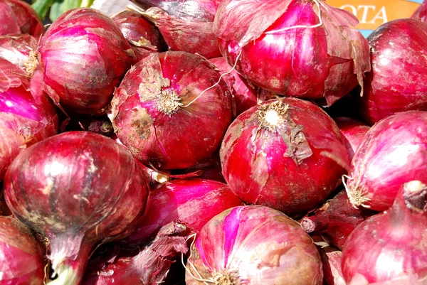 Rote Zwiebeln aus tropea - Kalabrien — Stockfoto