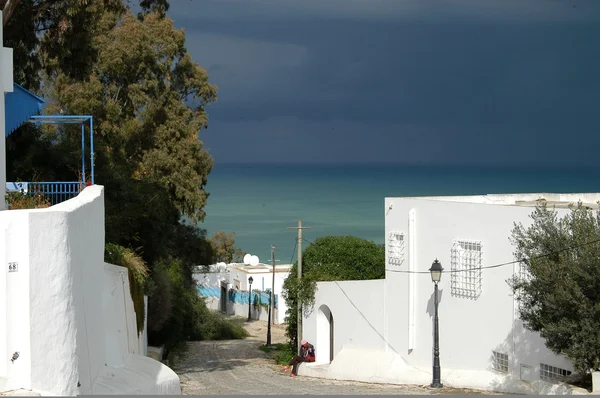 De minaretten en moskeeën in Tunesië — Stockfoto