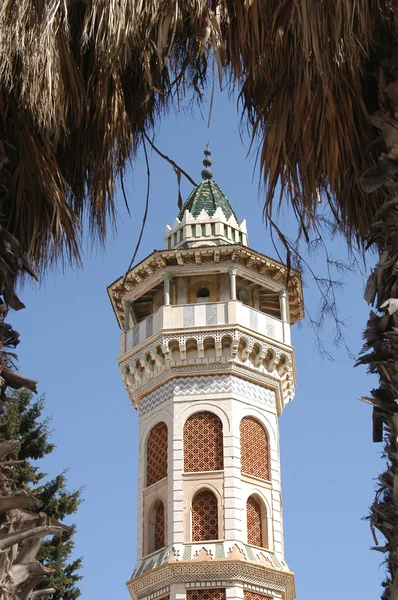 Minarety a mešity v Tunisku — Stock fotografie