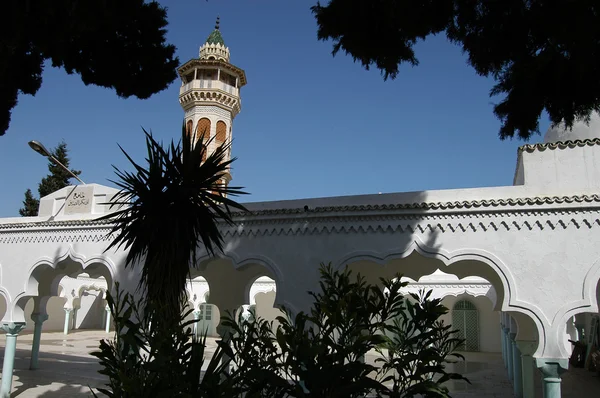 De minaretten en moskeeën in Tunesië — Stockfoto