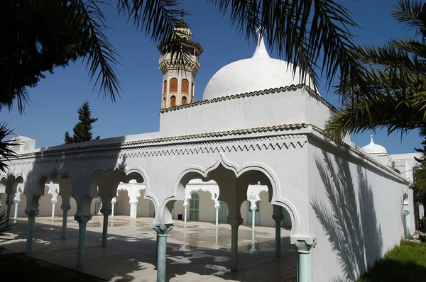 Minaretes y mezquitas en Túnez — Foto de Stock