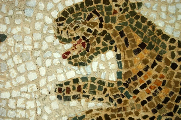 Mosaik av Tunisien - el jem - Tunisien — Stockfoto