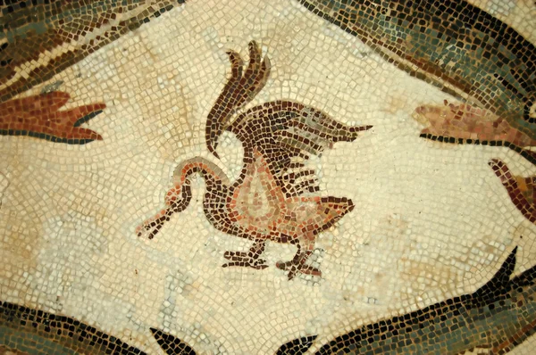 Mosaicos da Tunísia - El Jem - Tunísia — Fotografia de Stock