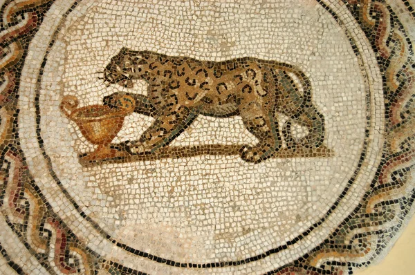 The Mosaics of Tunisia - El Jem - Tunisia — Stock Photo, Image