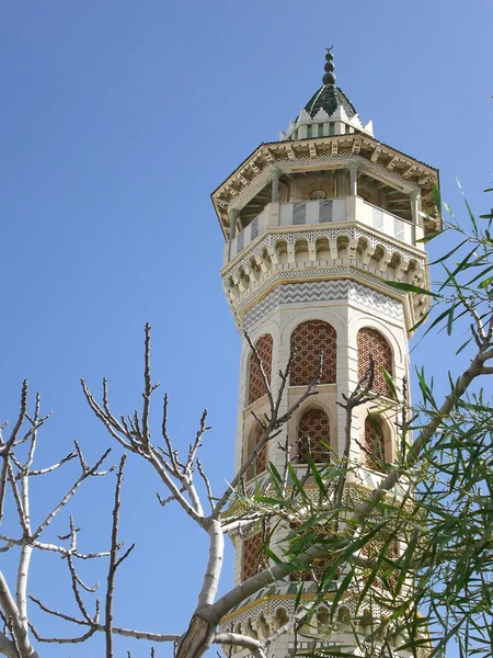 ट्यूनीशिया में मीनारें और मस्जिदें — स्टॉक फ़ोटो, इमेज