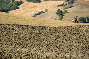 Tuscany manzaralar - erkek - cennet ve dünya arasında Toskana - İtalya