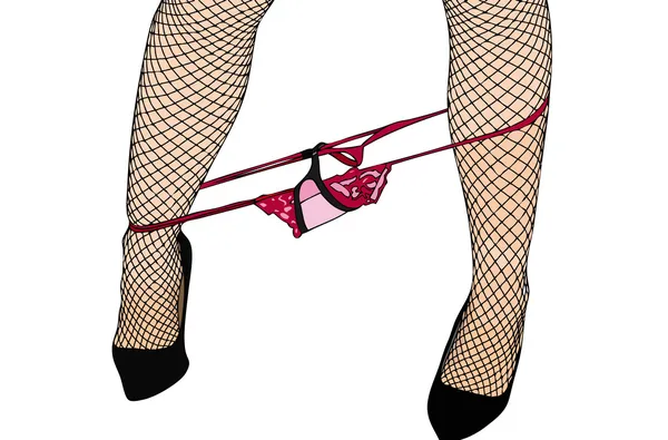 Fishnet kousen en slipje — Stockvector