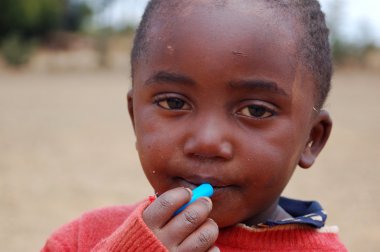 Afrika - Tanzanya - köy pomerini - Ağustos 2013 (görüntü 058)