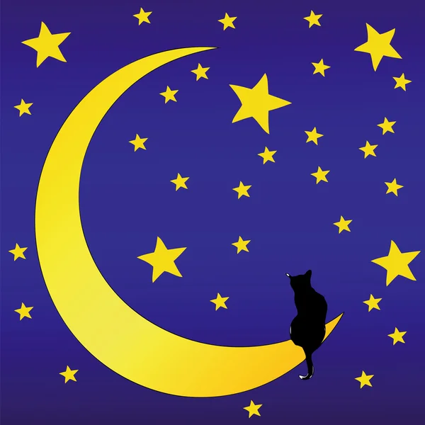 O Gato na frente de um céu estrelado — Vetor de Stock