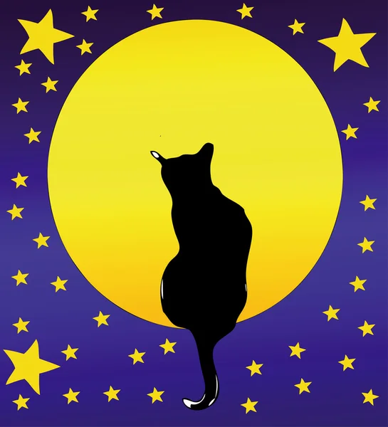 Il Gatto, la luna piena e un cielo stellato — Vettoriale Stock