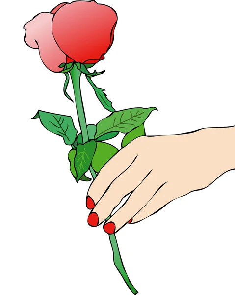 Une rose rouge pour toi — Image vectorielle