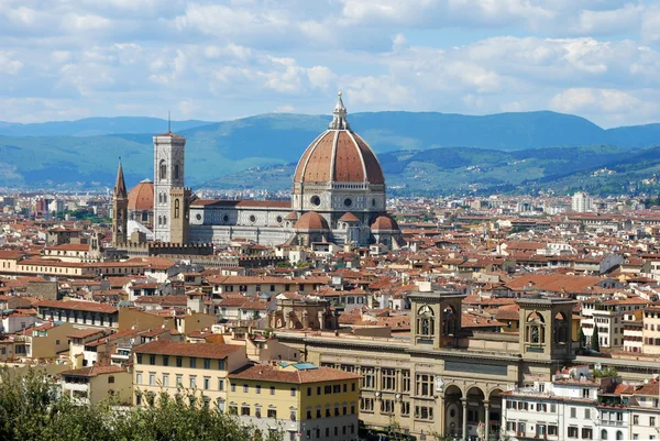 Florencia, ciudad del arte, la historia y la cultura - Toscana - Italia 109 — Foto de Stock