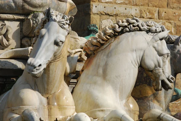 The Statue of Piazza della Signoria in Florence - Tuscany - Ital — Stock Photo, Image