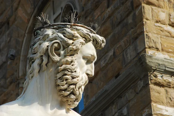 A Estátua da Piazza della Signoria em Florença - Toscana - Ital — Fotografia de Stock