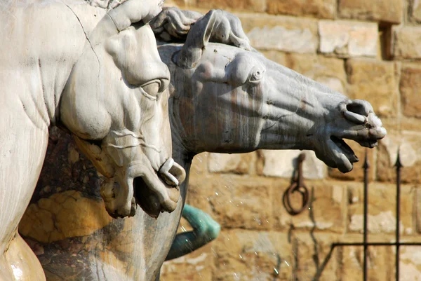 La estatua de Piazza della Signoria en Florencia - Toscana - Ital —  Fotos de Stock