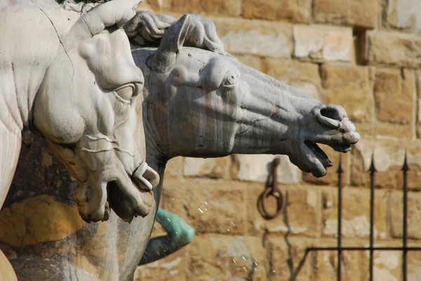 A Estátua da Piazza della Signoria em Florença - Toscana - Ital — Fotografia de Stock