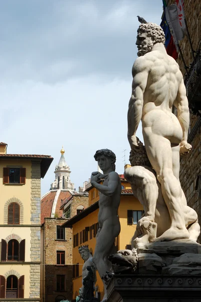 Statyn av piazza della signoria i Florens-Toscana-Italien 65 — Stockfoto