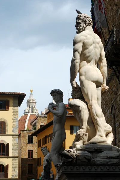 Socha náměstí piazza della signoria Florencie Toskánsko Itálie 654 — Stock fotografie