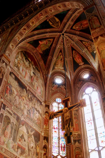 De fresco's in de kerk van santa croce in florence-Toscane-it — Stockfoto