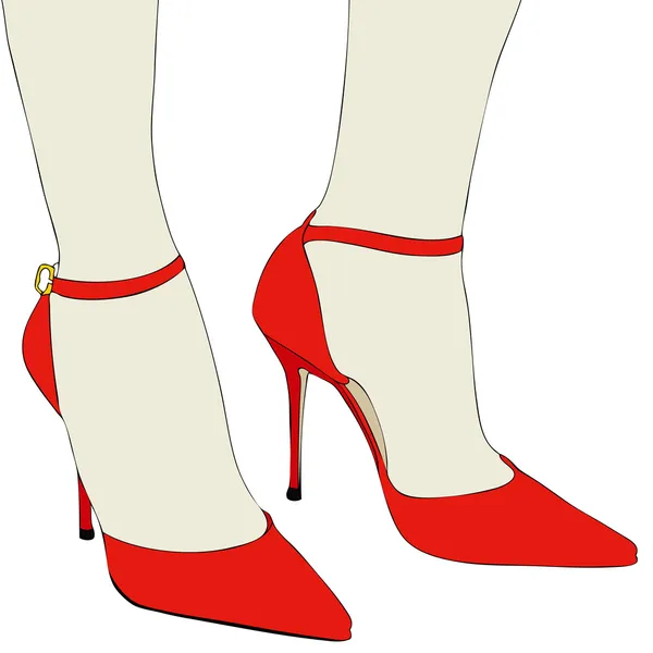 De mooie schoenen van een elegante vrouw — Stockvector