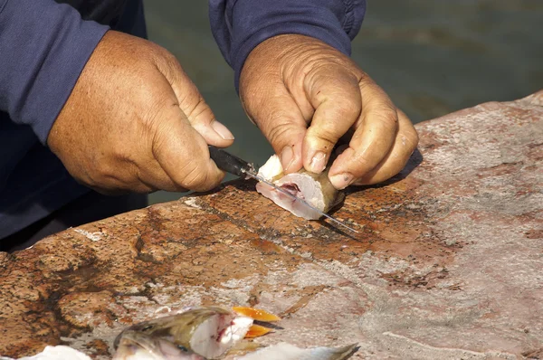 Fisherman Filleting Fish — Stock Photo, Image