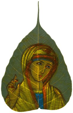 peepal yaprak - madonna boyama nimet