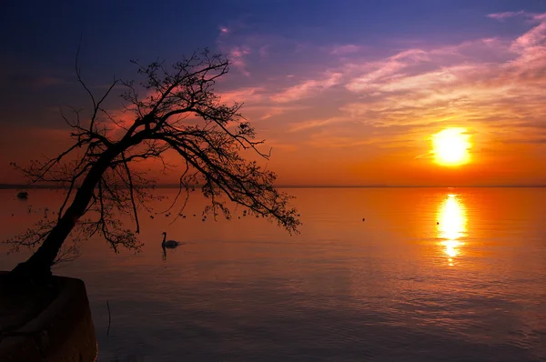 Solnedgang ved innsjøen - Garda-sjøen - Italia – stockfoto