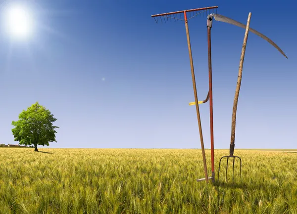 Paisagem agrícola — Fotografia de Stock