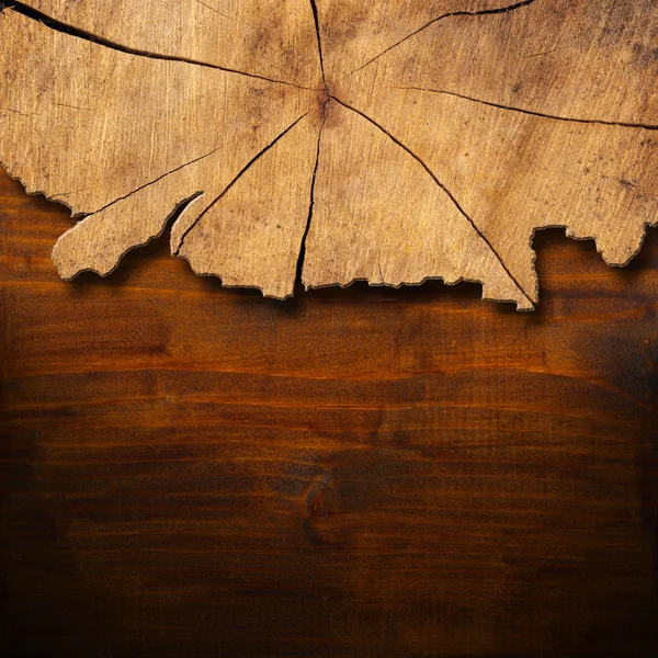 Section of Tree Trunk - Background — Stock Photo, Image