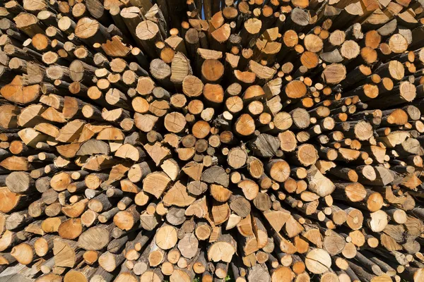 Pile of Chopped Firewood — Stock Photo, Image