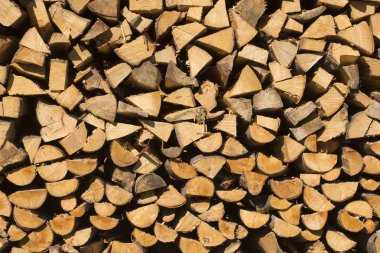 Kesilmiş odun yığını