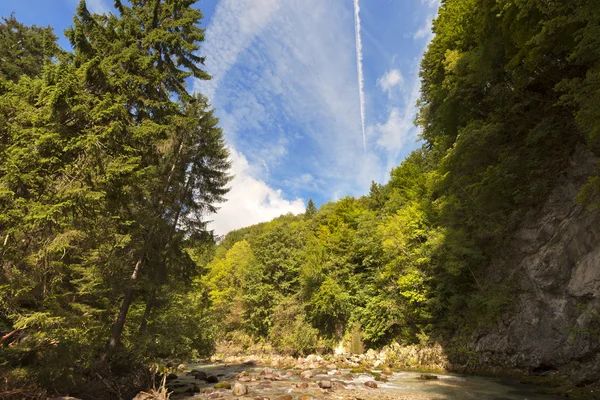 Slizza (Gailitz) Il fiume Canyon a Tarvisio — Foto Stock