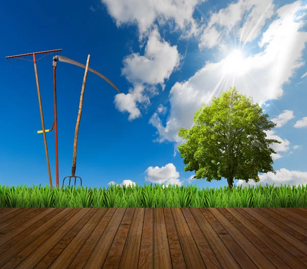 Paesaggio agricolo e pavimento in legno — Foto Stock