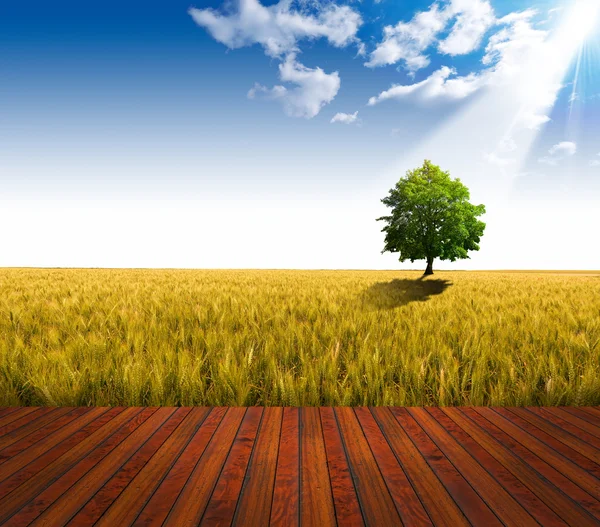 Wooden Floor and Wheat Field — Stock Photo, Image