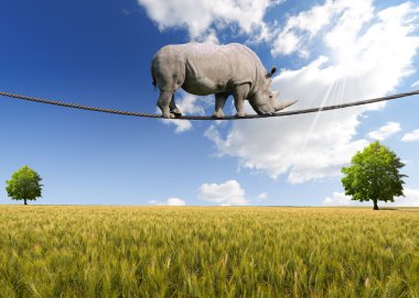 rhino ipte yürümek