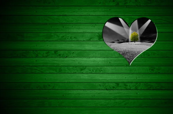 Σχήμα καρδιάς κομμένα σε πράσινο ξύλινο τοίχο — Φωτογραφία Αρχείου