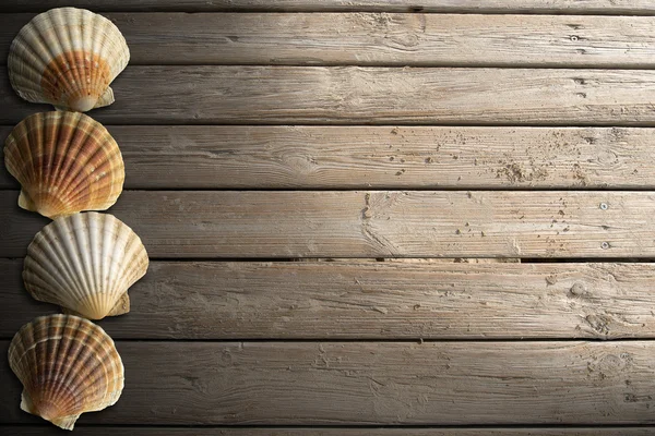 Seashells sul lungomare di legno con sabbia — Foto Stock