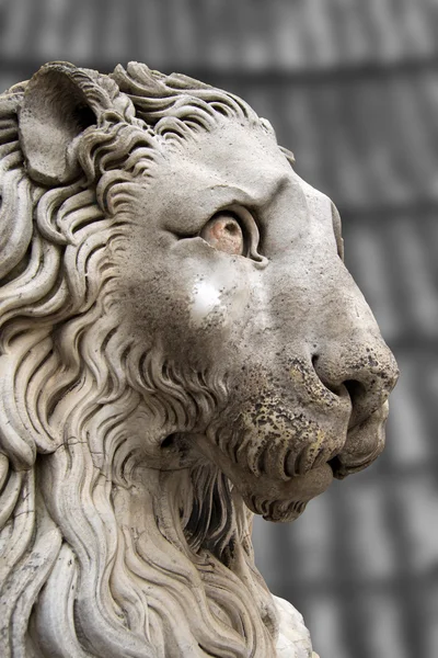 Lion Statue Cathedral St. Lawrence Genova — Stock Photo, Image