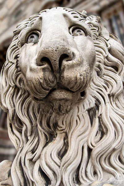 Leeuw standbeeld kathedraal st. lawrence genova — Stockfoto