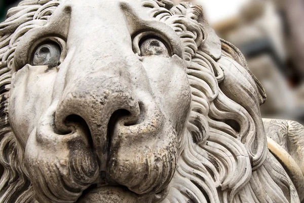 Leeuw standbeeld kathedraal st. lawrence genova — Stockfoto