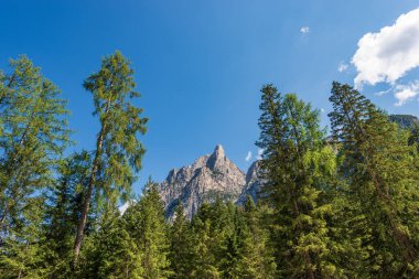 Dolomitlerin dağ zirvesi (Sasso del Signore dağı) ve çam ormanları. Pragser Wildsee veya Lake Braies, İtalyan Alpleri, Fanes-Senes-Braies doğa parkı, Trentino-Alto Adige, Bolzano, İtalya.
