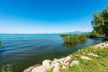Garda Gölü 'nün güzel kıyıları (Lago di Garda) yeşil sazlıklar ve ağaçlarla, Verona ilindeki Bardolino ve Lazise köyü yakınlarında, Veneto, İtalya, Avrupa' daki turizm beldesi.