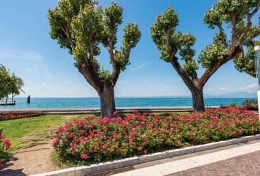Lakeshore of the Lake Garda (Lago di Garda) in the little village of Bardolino, yaya bölgesi, turizm merkezi Verona, Veneto, İtalya, Avrupa. 